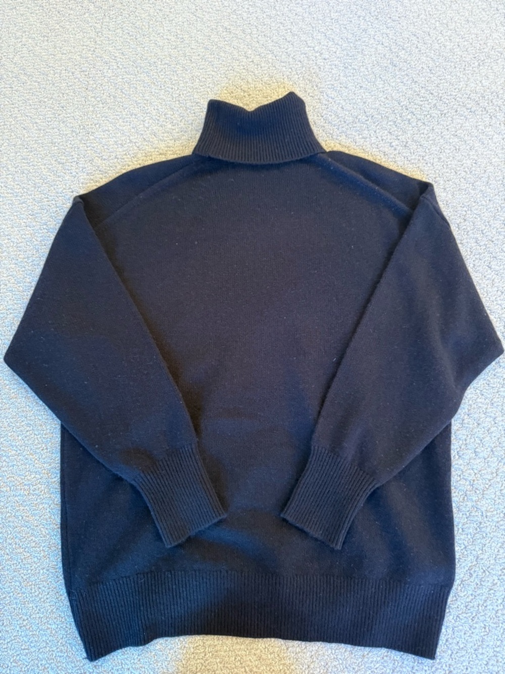 Aritzia Cashmere Turtleneck